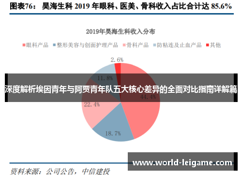 深度解析埃因青年与阿贾青年队五大核心差异的全面对比指南详解篇 深度解析埃因青年与阿贾青年队五大核心差异的全面对比指南详解篇